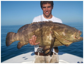 Gulf of Mexico Wreck Trip