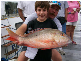 Mangrove snapper spawn is on - ALL IN Key West Fishing Charters